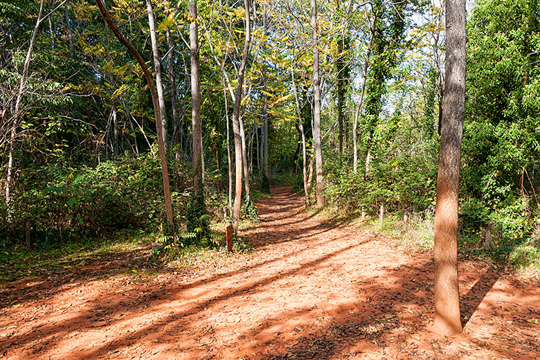 The trails are coated with a fine ochre powder