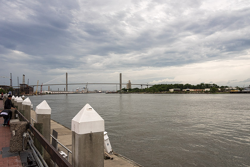 Along the Savannah River