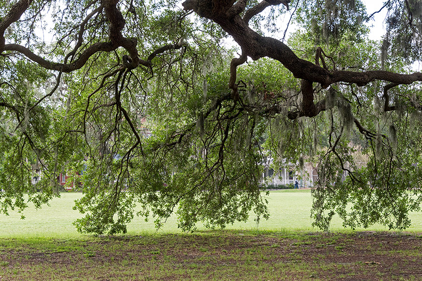 In Forsyth Park