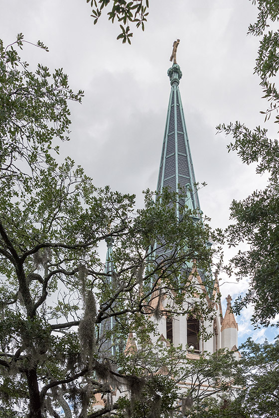 The cathedral seen from Lafayette Square