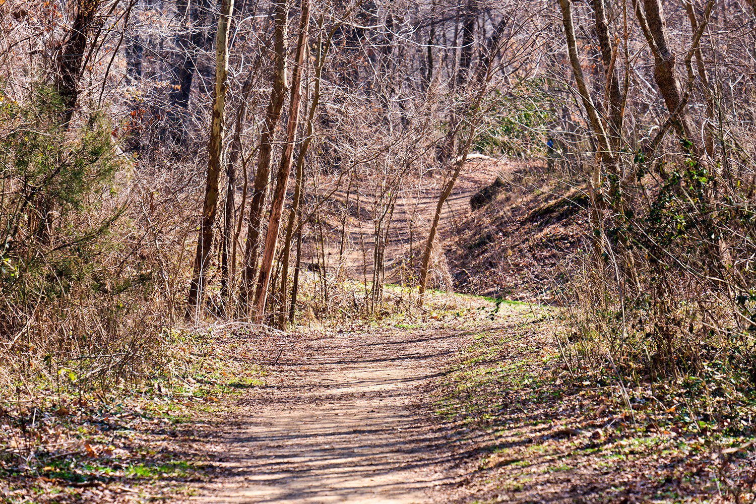 Continuing eastward on the north part of Saxapahaw Island Park