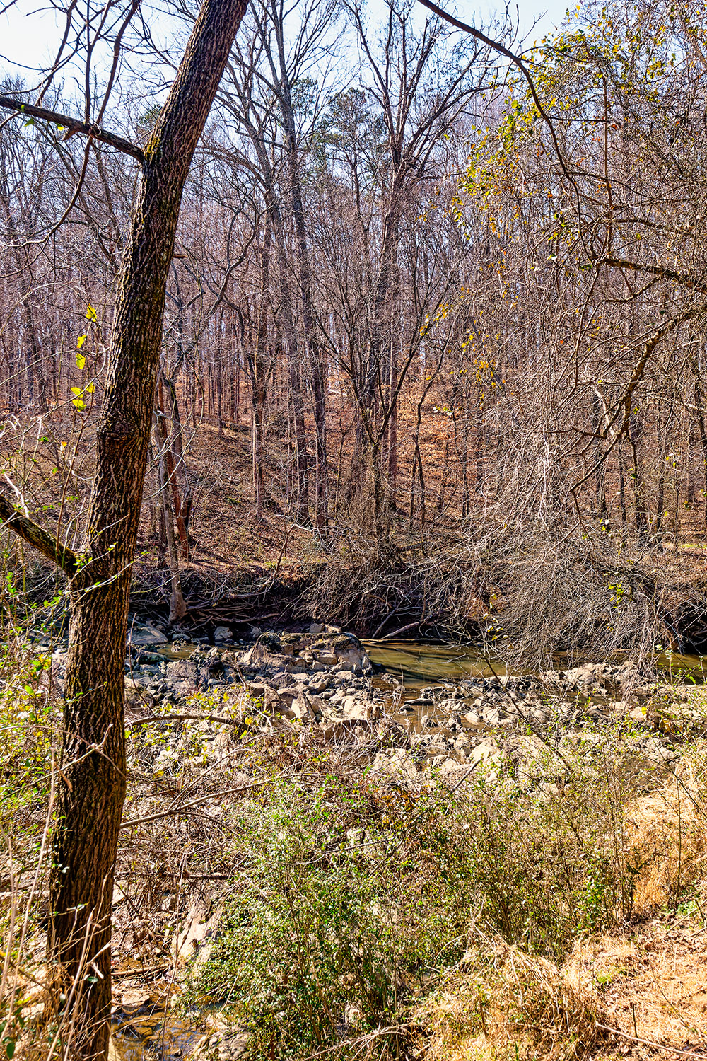 The south portion of the river has far less water