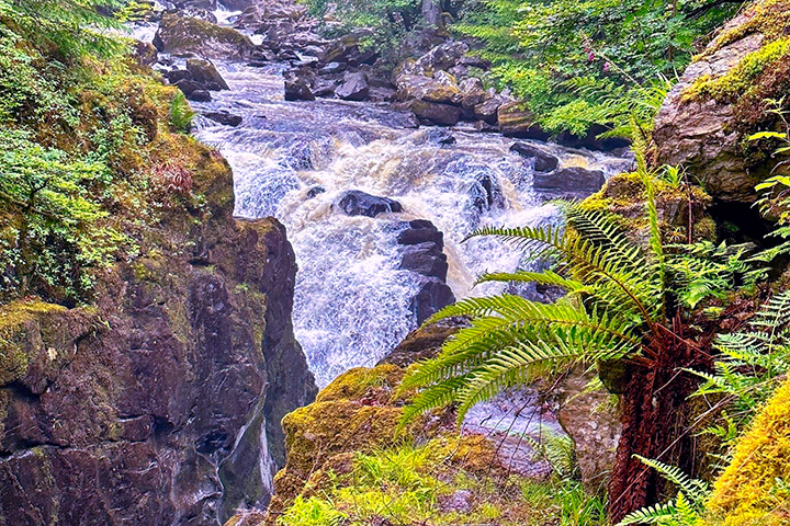 The Black Linn Falls by the Hermitage (photo by Vicki)