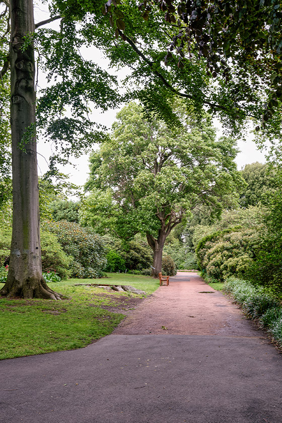 Path near the west gate