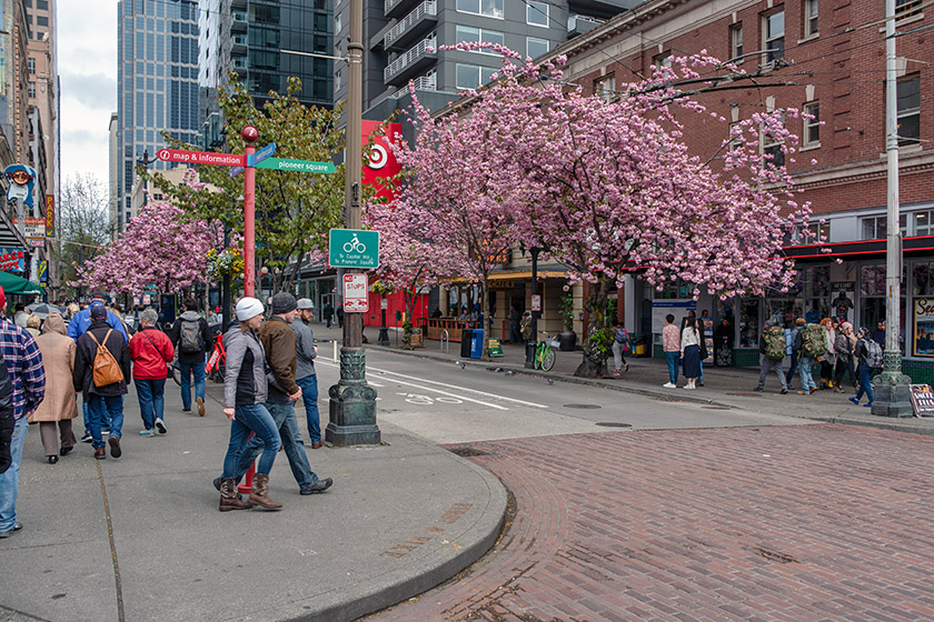 Looking down Pike Street