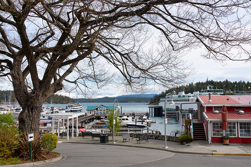 Admiring the harbor from Memorial Park