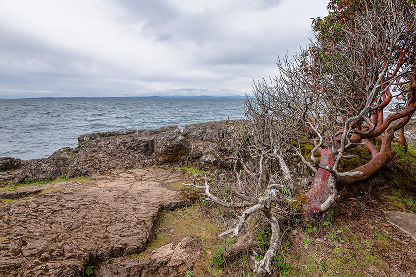 At Lime Kiln Point State Park