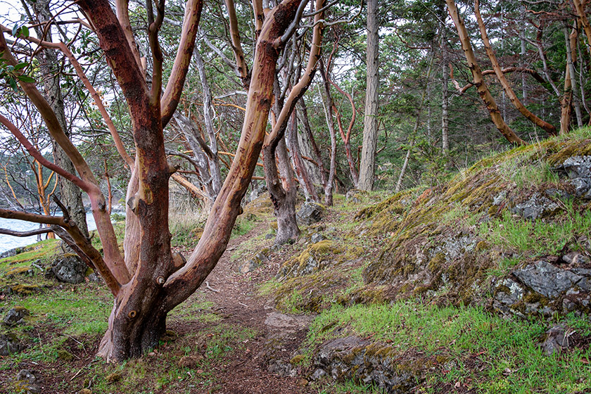 In Lime Kiln Point State Park