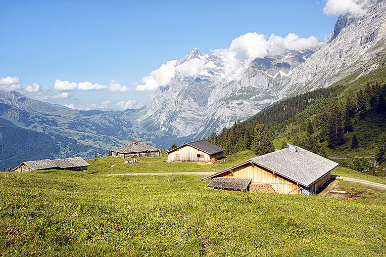 Farm houses