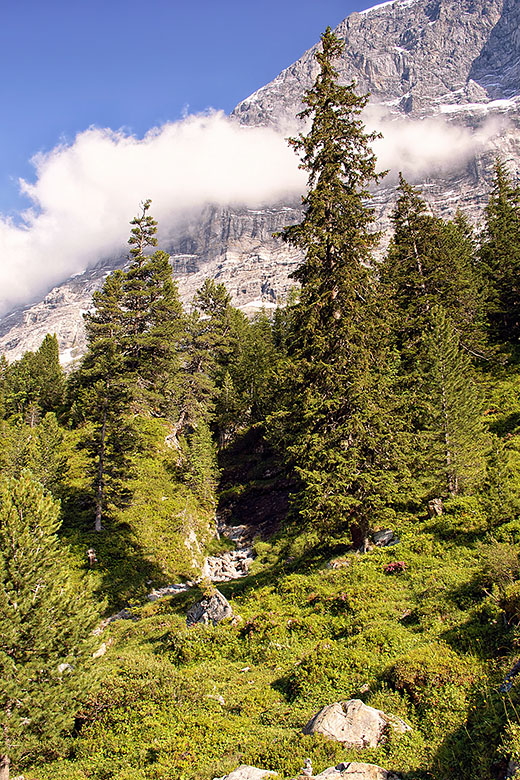 Below the tree line again