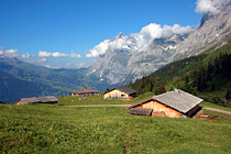 Farm houses