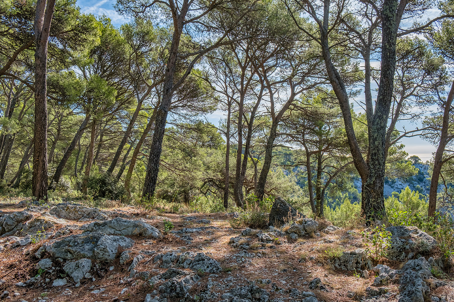 Walking towards the sanctuary of 'Notre-Dame du Faron'