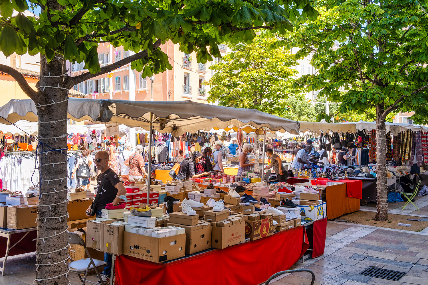 Checking out the market