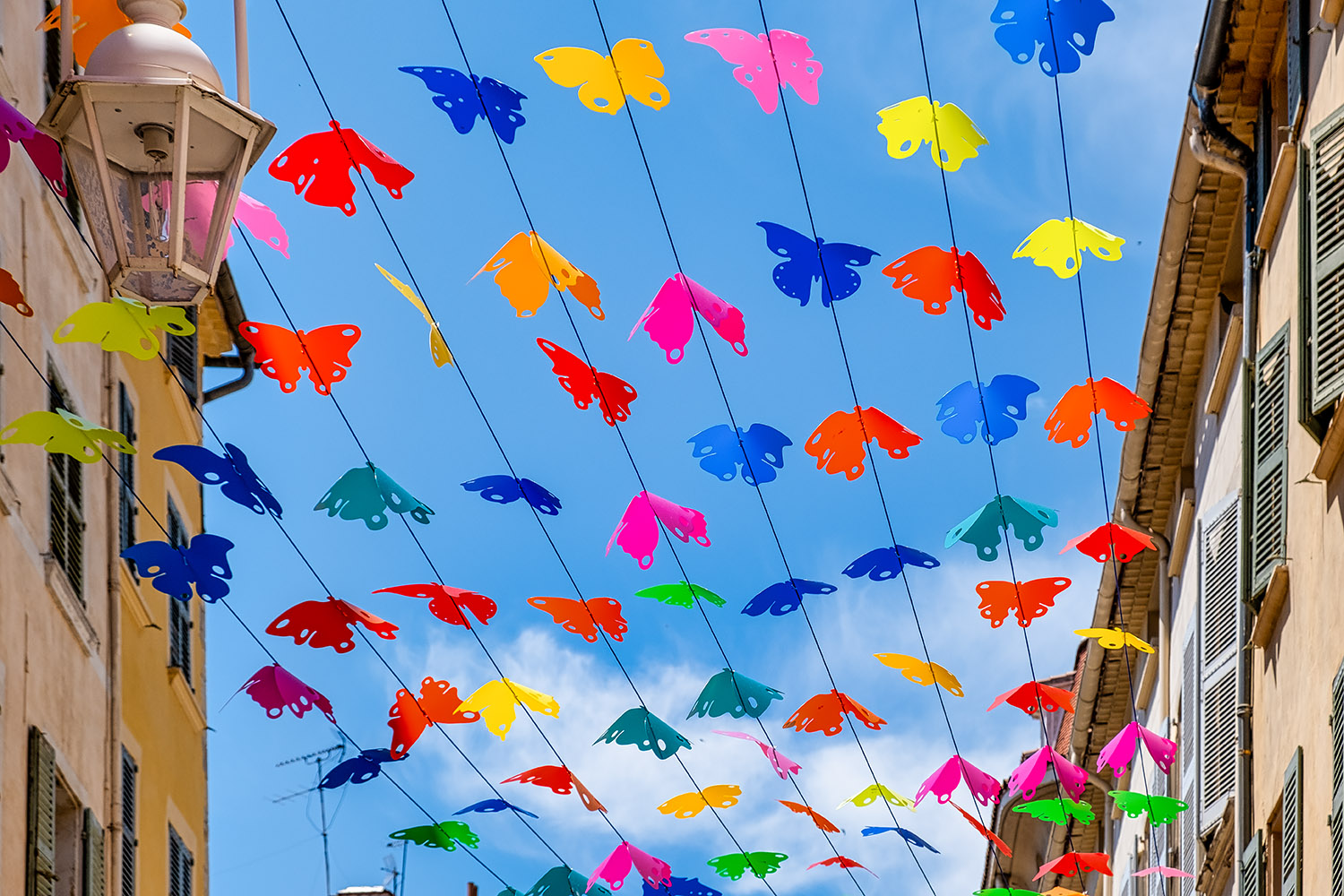 A closer look at the butterflies that decorate parts of the old town