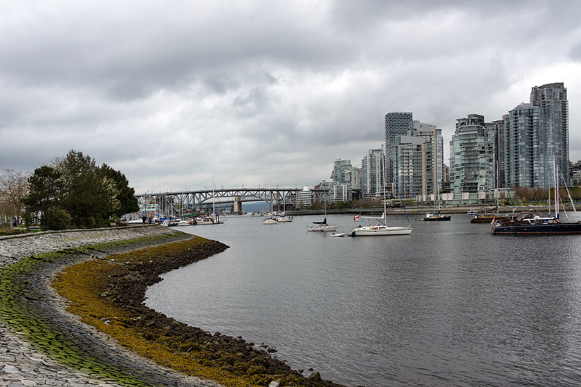 Continuing our walk along the Charleson Dog Park