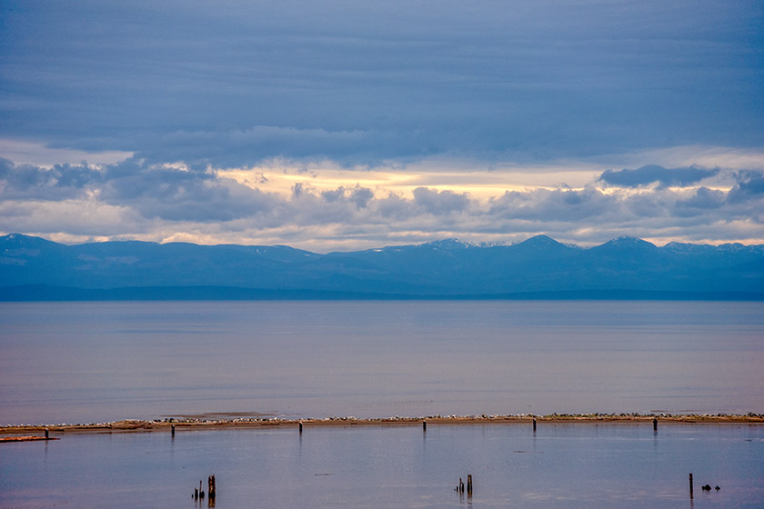 View from Foreshore Trail