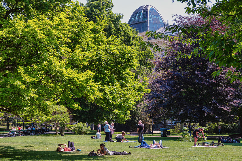 People taking advantage of the great weather to relax in the park