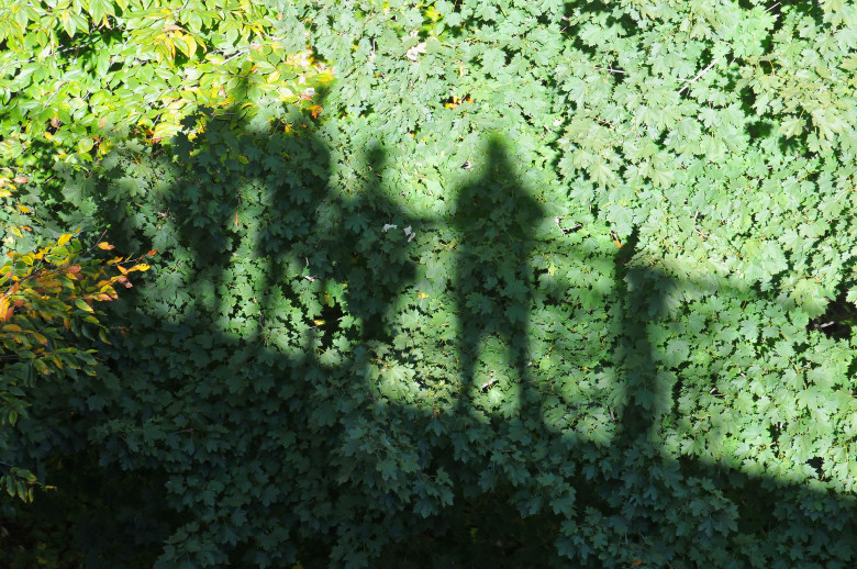 Looking down from Klingle Valley Bridge