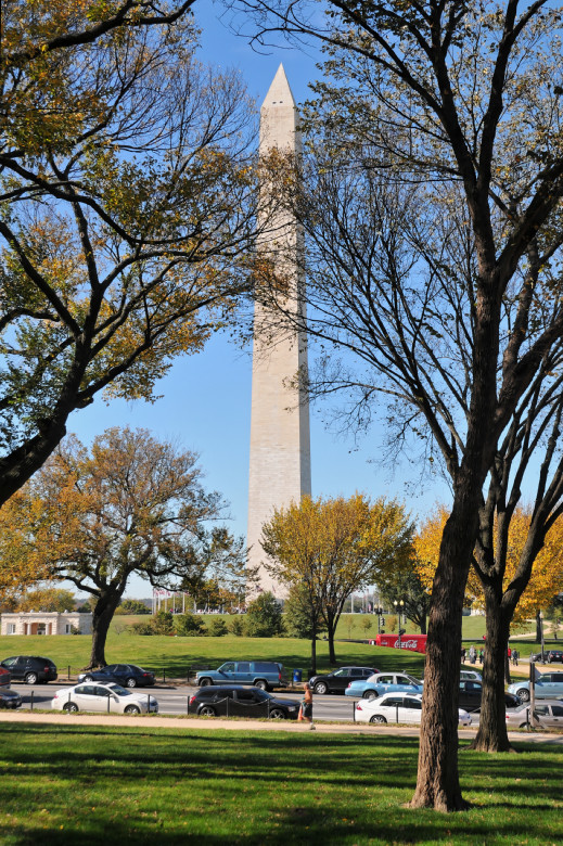 The Washington Memorial