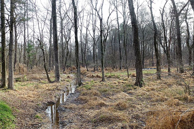 Off the paved trail...