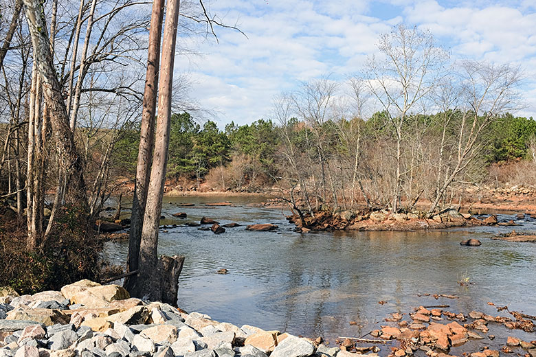 Along Upper Neuse River Greenway