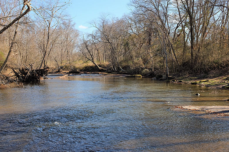 Back at the Neuse, looking downstream