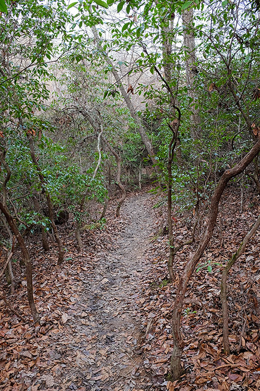 Near the Eno River, it gets a bit muddy